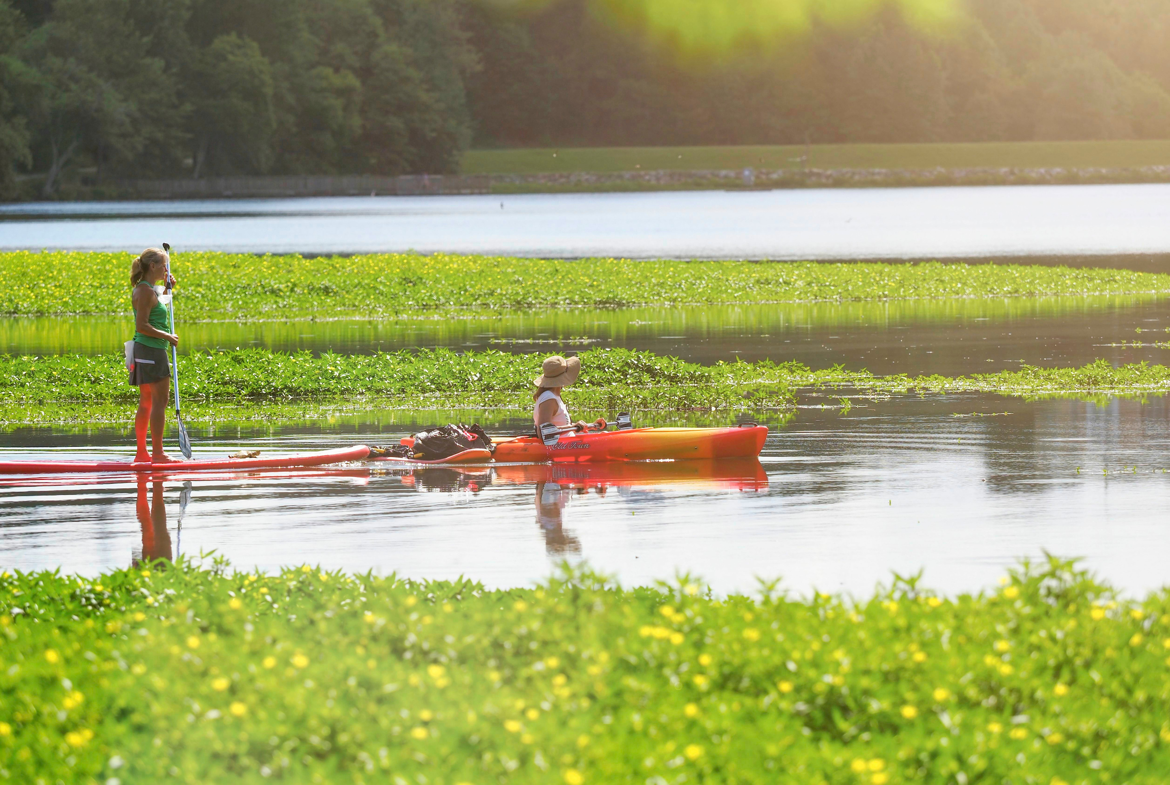 A kayaker and a stand up paddler enjoy Lake Raleigh on a summer day. 