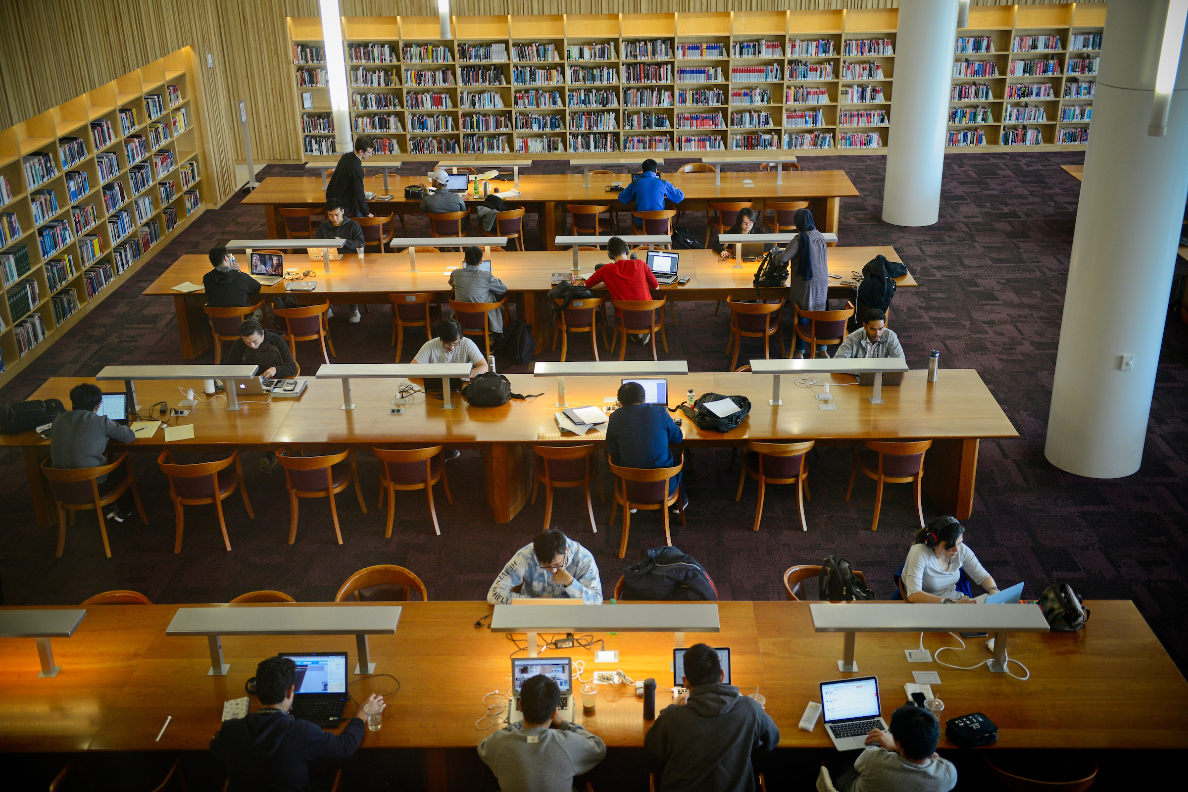 Students work and study in the James B. Hunt Jr. library.